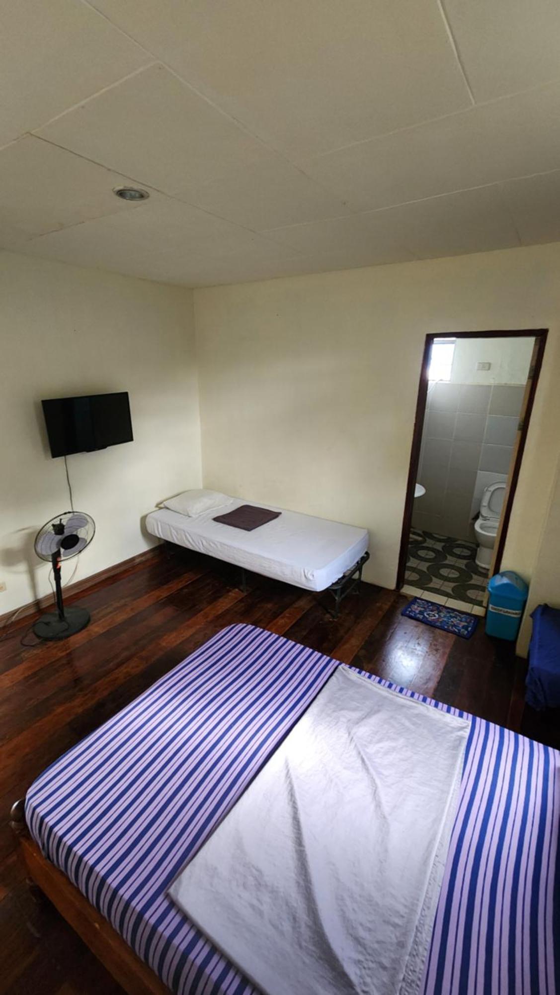 Screaming Gecko Hostel บูซวงกา ภายนอก รูปภาพ