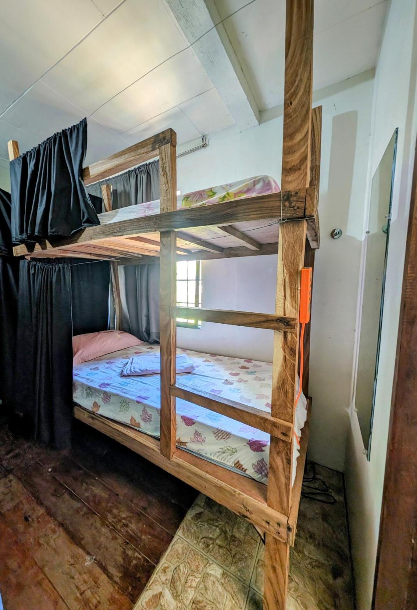 Screaming Gecko Hostel บูซวงกา ภายนอก รูปภาพ