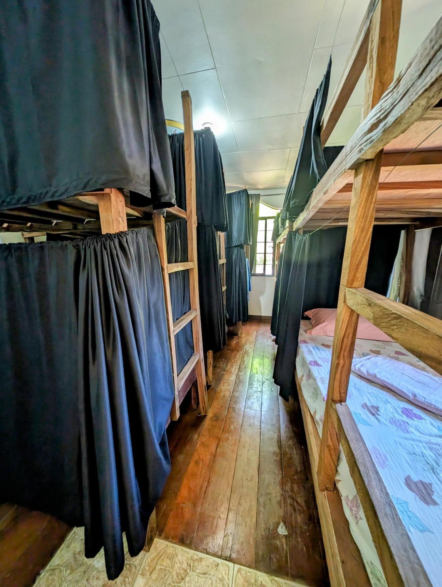 Screaming Gecko Hostel บูซวงกา ภายนอก รูปภาพ