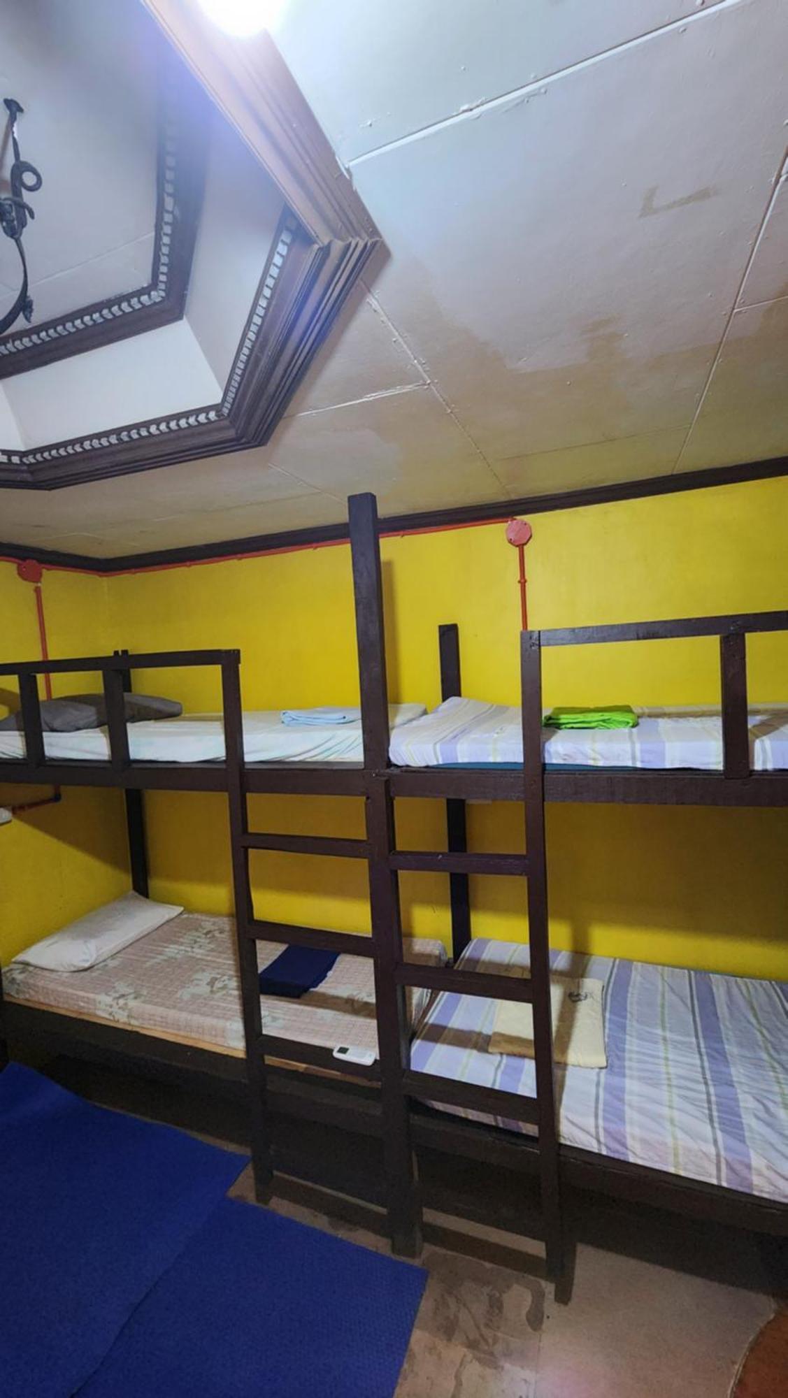 Screaming Gecko Hostel บูซวงกา ภายนอก รูปภาพ