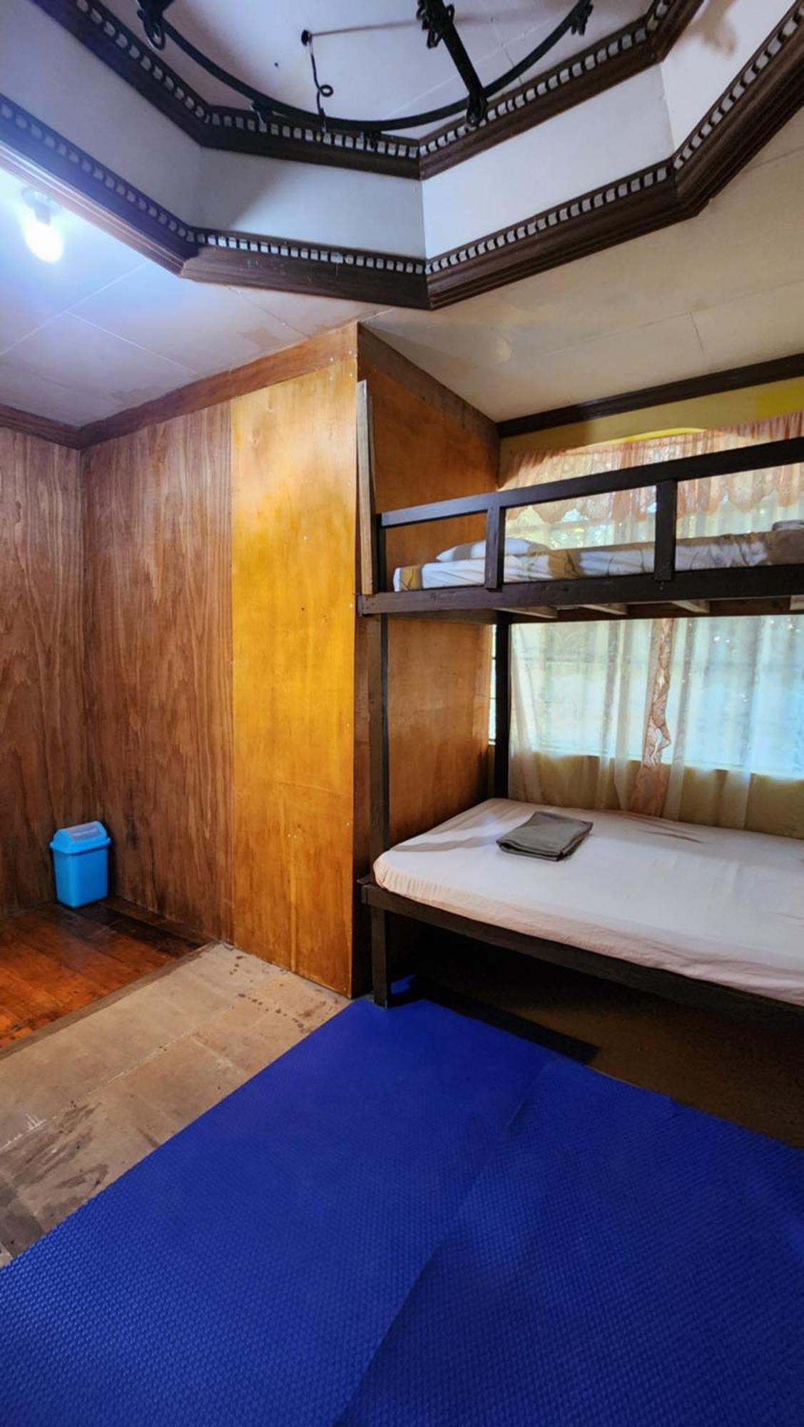 Screaming Gecko Hostel บูซวงกา ภายนอก รูปภาพ
