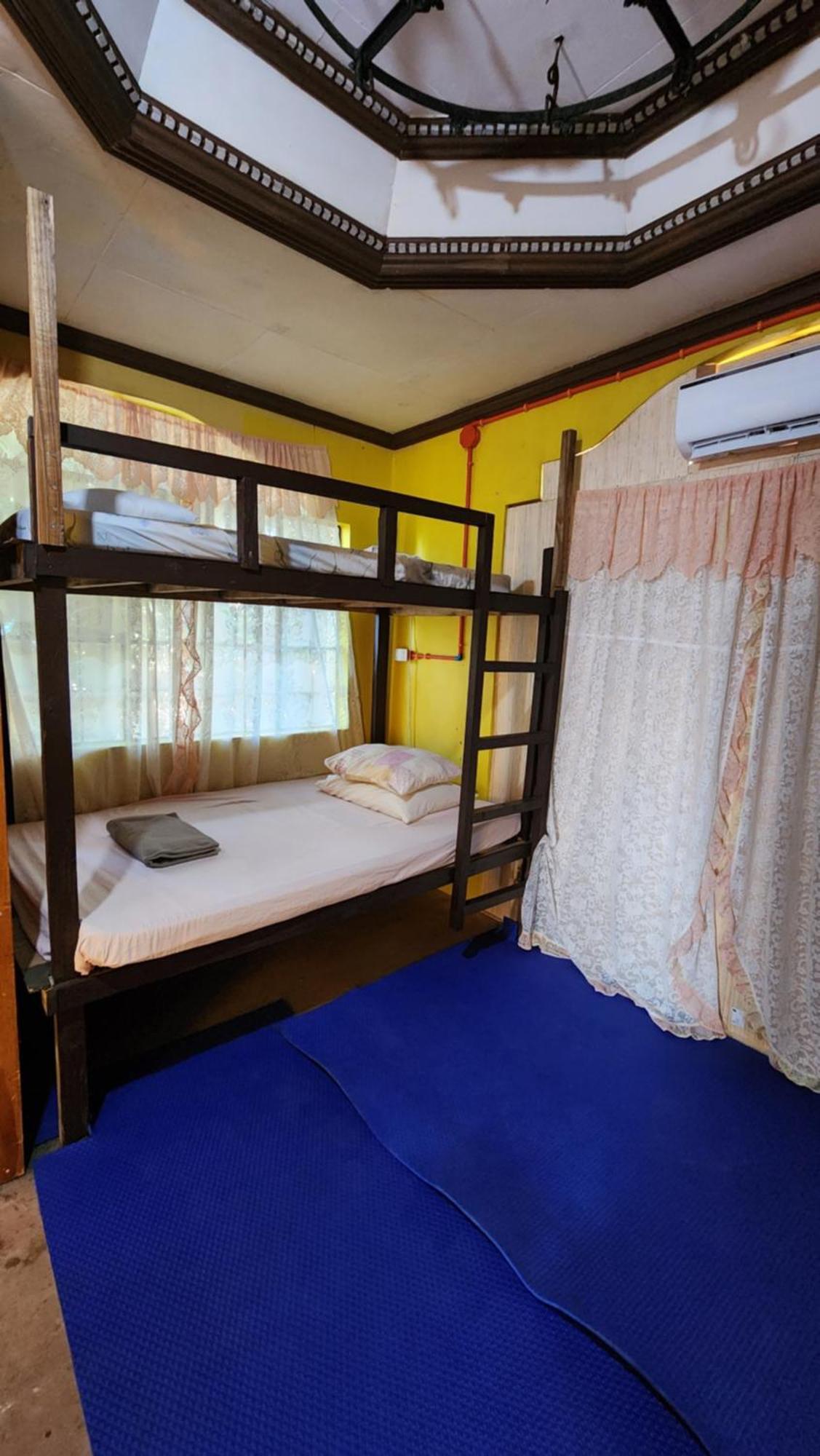 Screaming Gecko Hostel บูซวงกา ภายนอก รูปภาพ